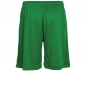 Preview: Stanno Field Shorts Grün
